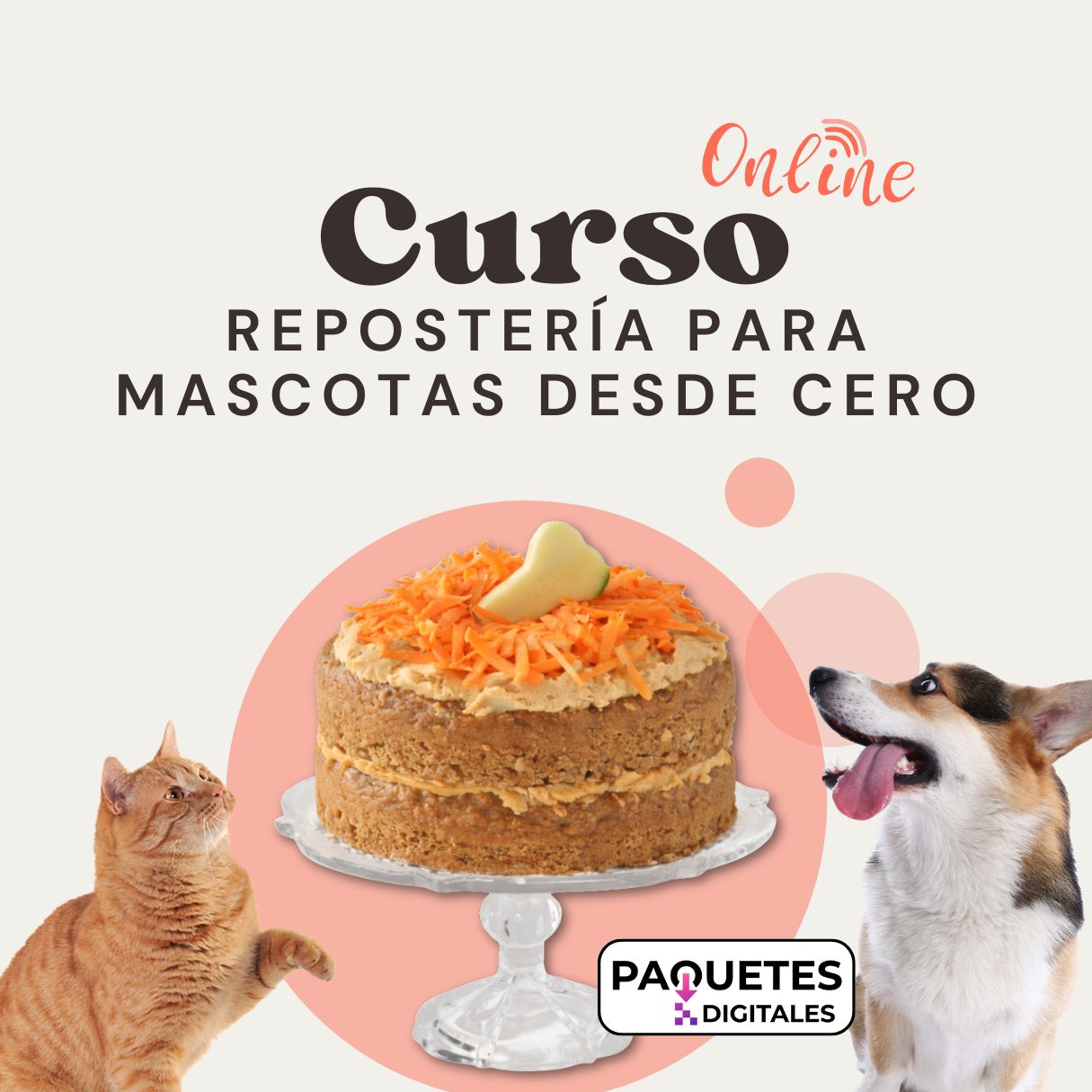 Curso de Repostería para Mascotas desde Cero